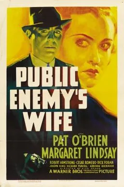 Public Enemy's Wife poster