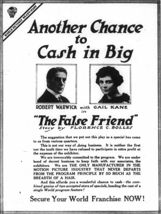 The False Friend poster
