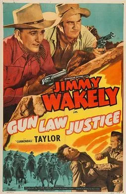 Gun Law Justice poster