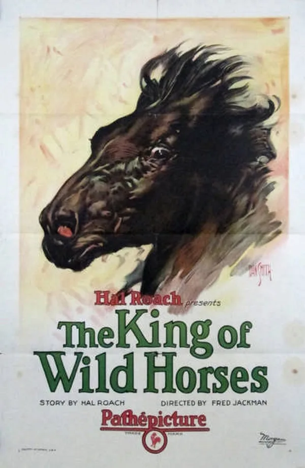 The King of Wild Horses poster