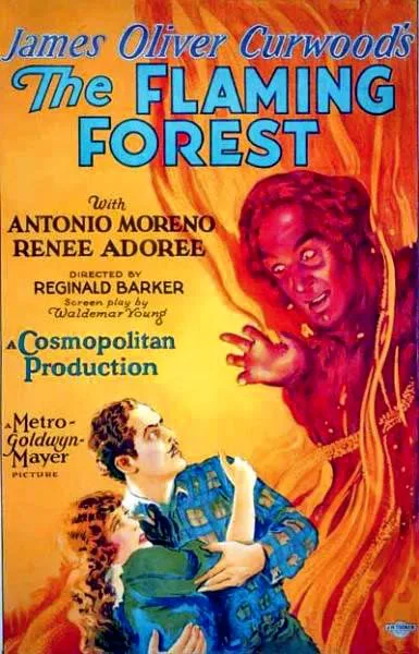 The Flaming Forest poster