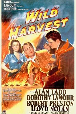 Wild Harvest poster