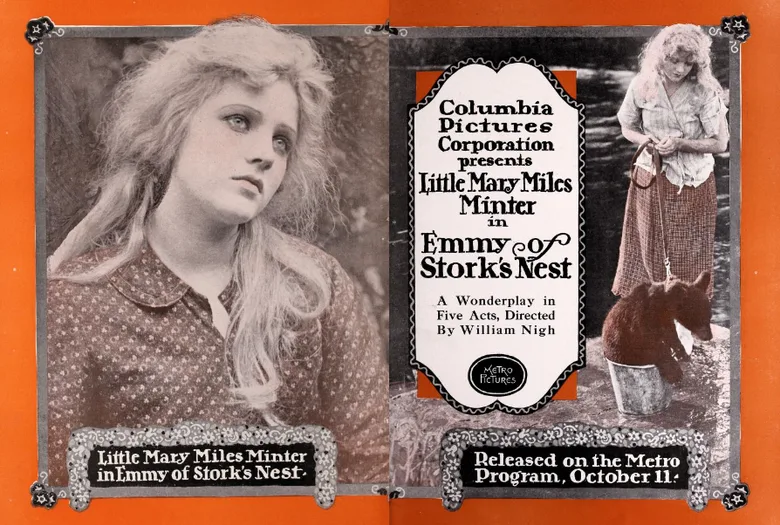 Emmy of Stork's Nest poster