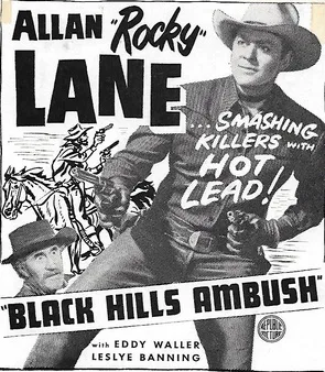 Black Hills Ambush poster