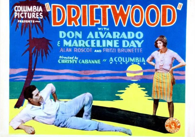 Driftwood poster
