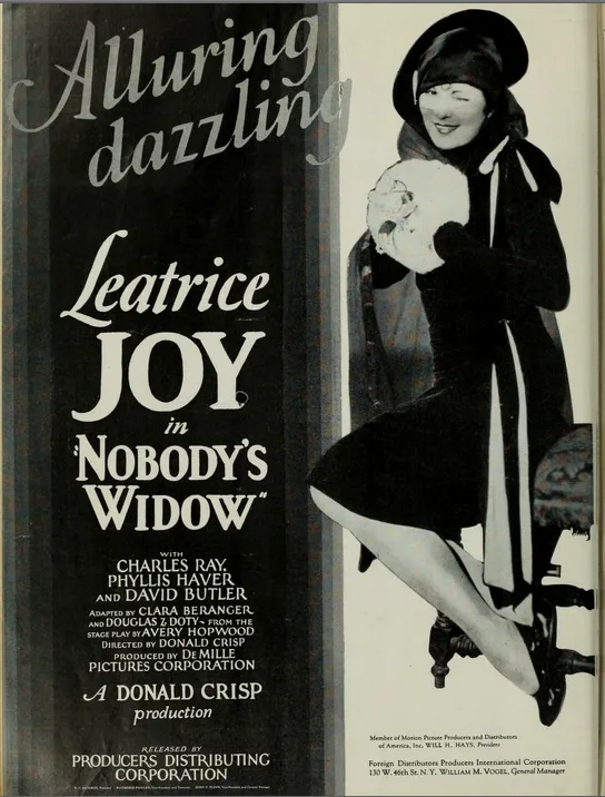 Nobody's Widow poster