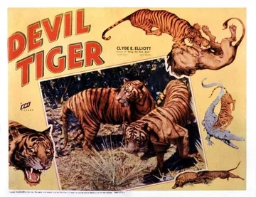 Devil Tiger poster