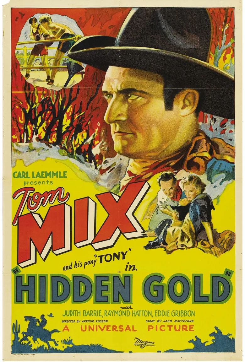 Hidden Gold poster