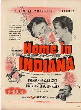 Home in Indiana poster