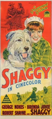 Shaggy poster