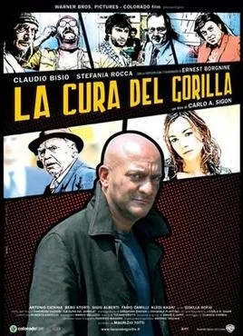 The Bodyguard's Cure poster