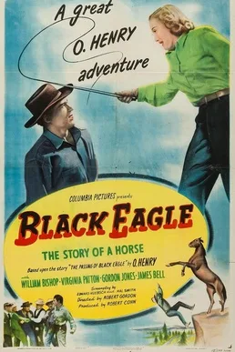 Black Eagle poster