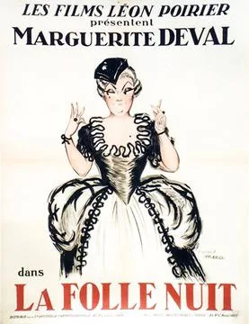 The Mad Night poster