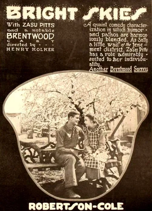 Bright Skies poster