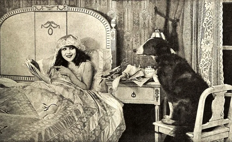 The Heart of Romance poster