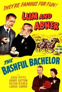 The Bashful Bachelor poster