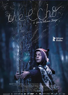 The Echo poster