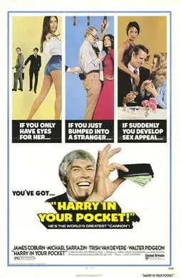 Harry in Your Pocket poster