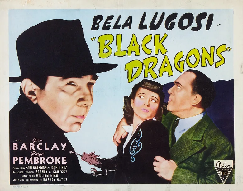 Black Dragons poster