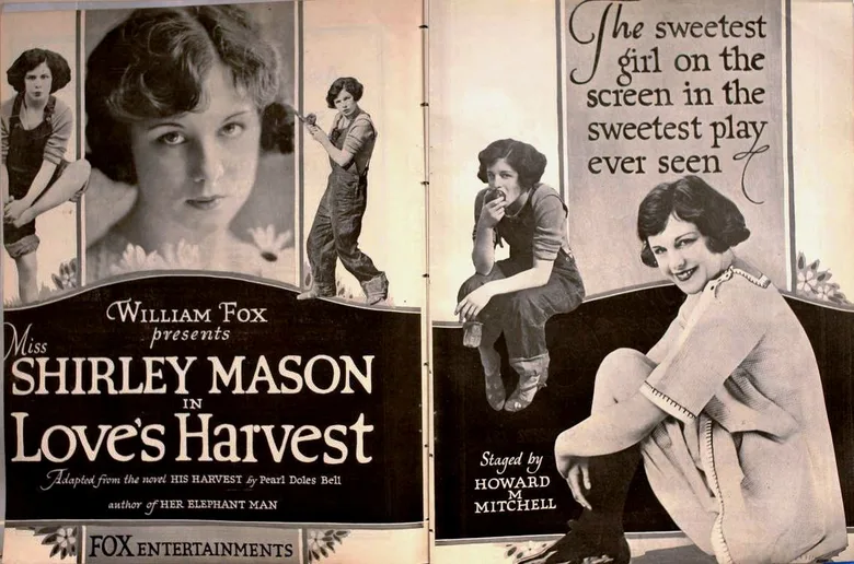 Love's Harvest poster