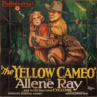 The Yellow Cameo poster