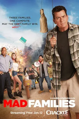 Mad Families poster