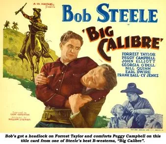 Big Calibre poster