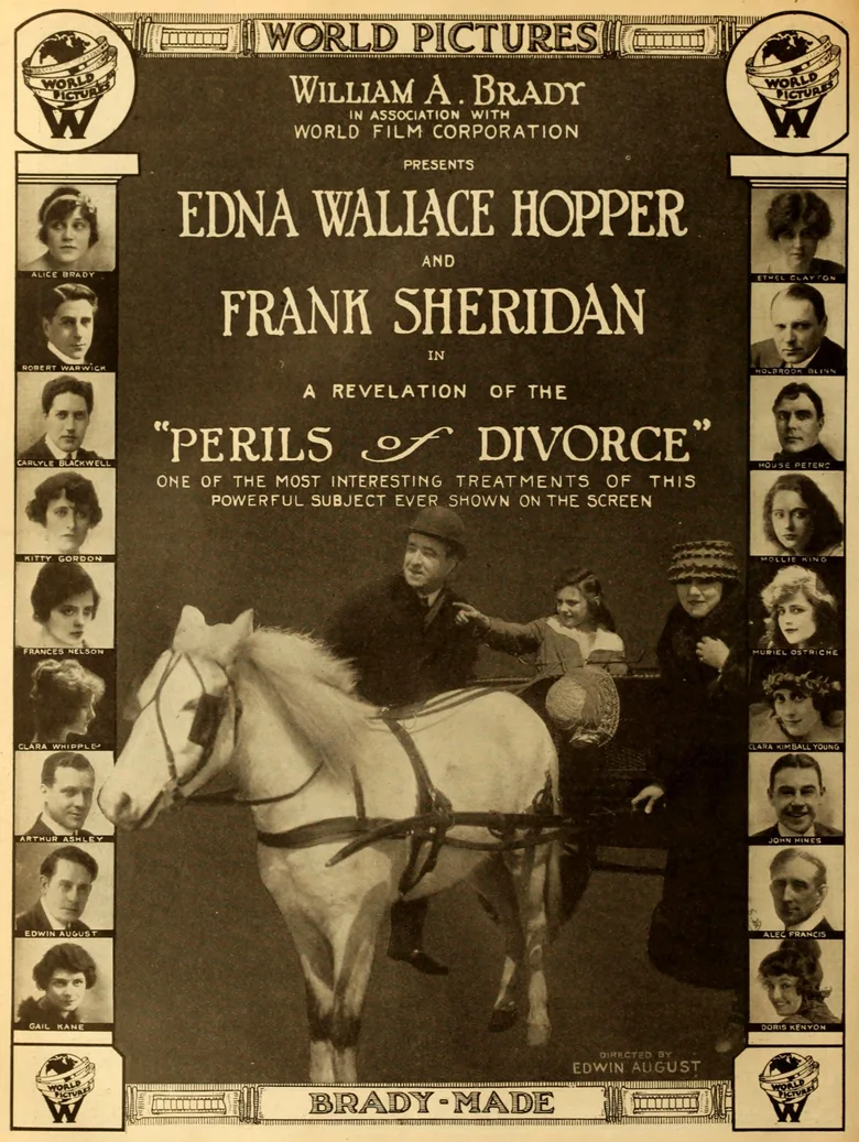 The Perils of Divorce poster