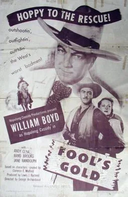 Fool's Gold poster
