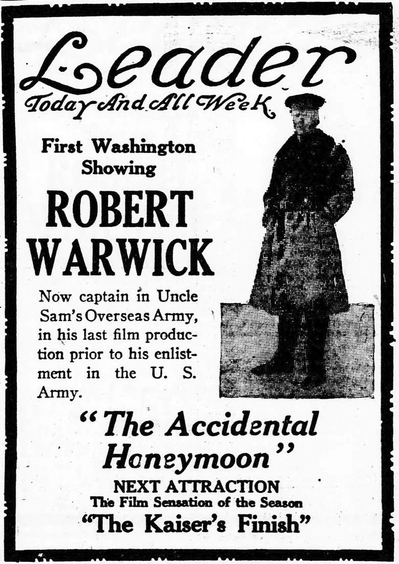 The Accidental Honeymoon poster