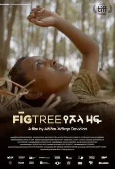 Fig Tree poster
