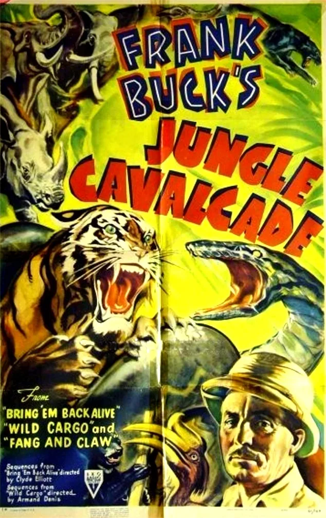 Jungle Cavalcade poster