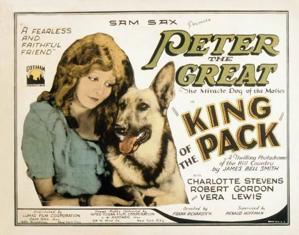 King of the Pack poster