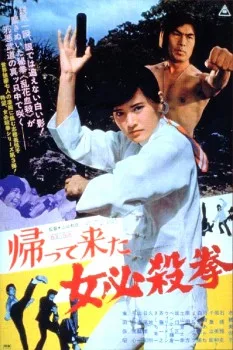 The Return of the Sister Street Fighter poster