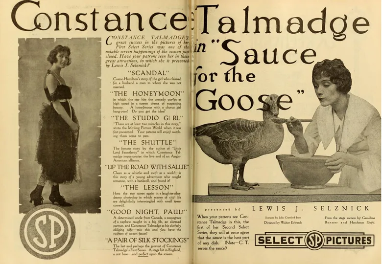 Sauce for the Goose poster