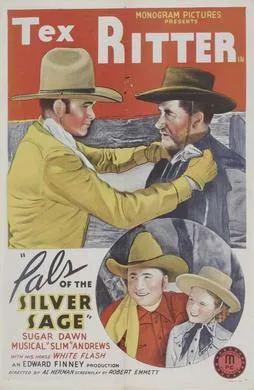 Pals of the Silver Sage poster