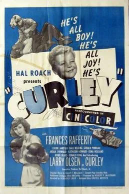 Curley poster