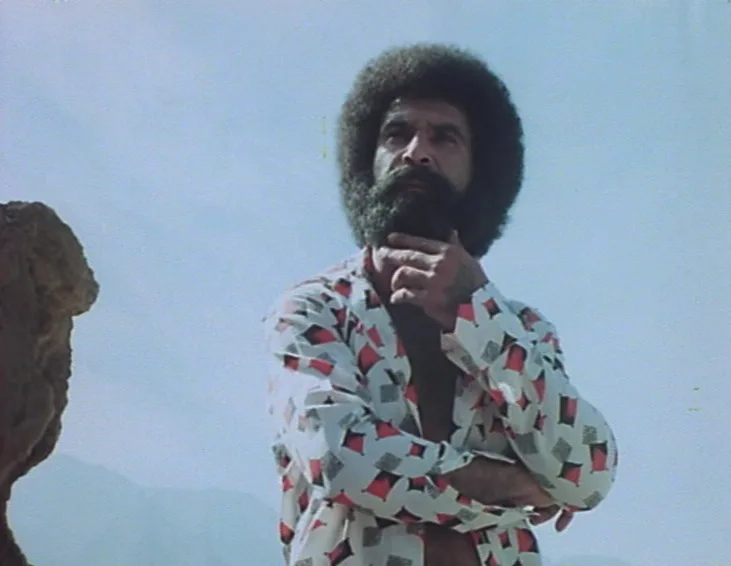 Two Female Spies with Flowered Panties poster