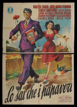 Lo sai che i papaveri... poster