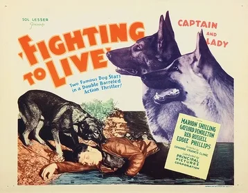 Fighting to Live poster