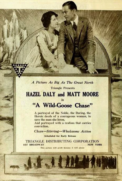 A Wild Goose Chase poster
