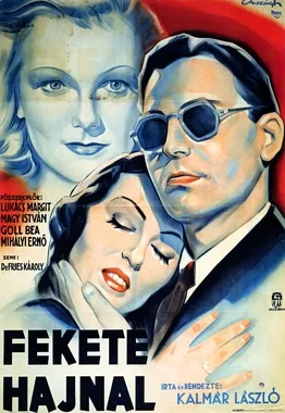 Black Dawn poster