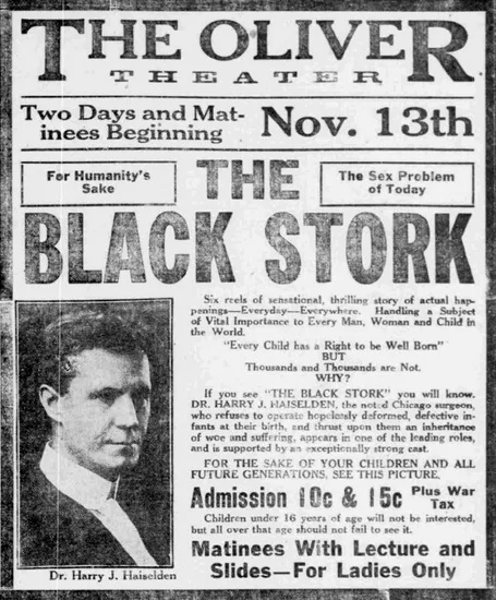 The Black Stork poster