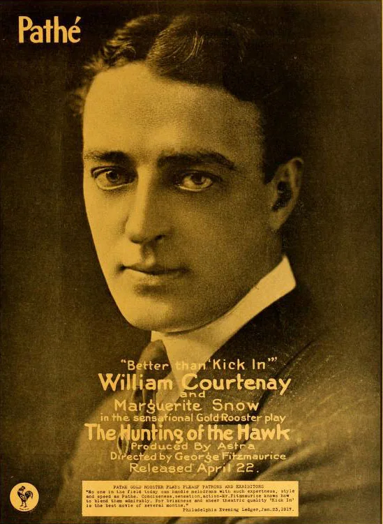 The Hunting of the Hawk poster
