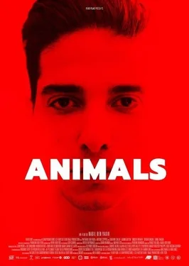 Animals poster
