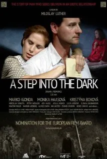 A Step Into the Dark poster