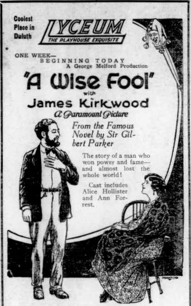 A Wise Fool poster