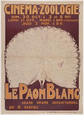 The White Peacock poster