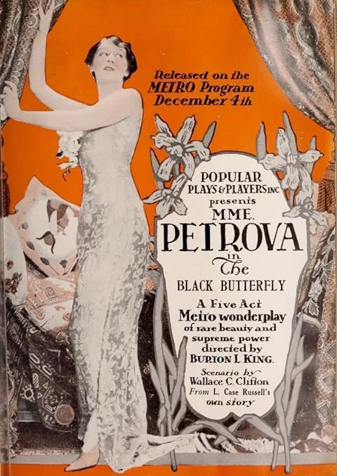 The Black Butterfly poster