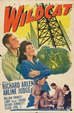 Wildcat poster